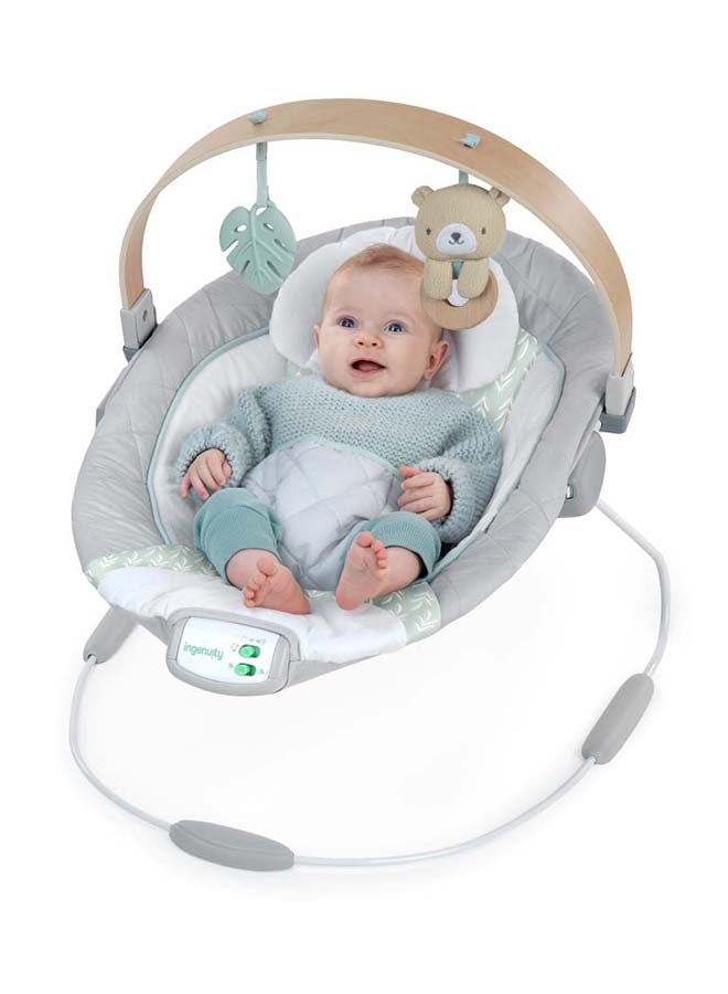 Cozy Spot Soothing Bouncer