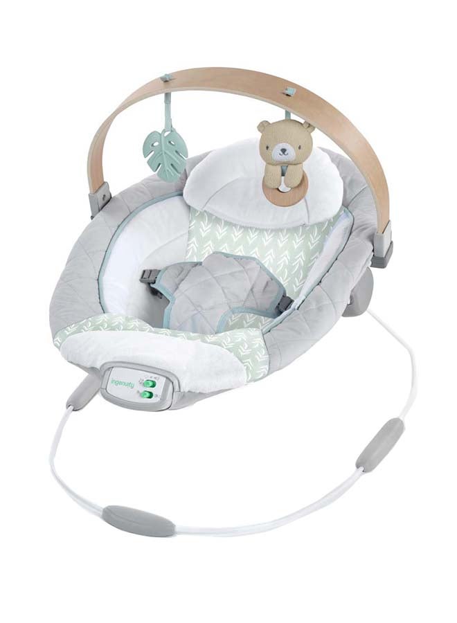 Cozy Spot Soothing Bouncer