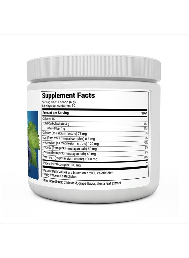 Dr. Berg Zero Sugar Hydration Keto Electrolyte Powder - Enhanced w/ 1,000mg of Potassium & Real Pink Himalayan Salt (NOT Table Salt) - Grape Flavor Hydration Drink Mix Supplement - 50 Servings