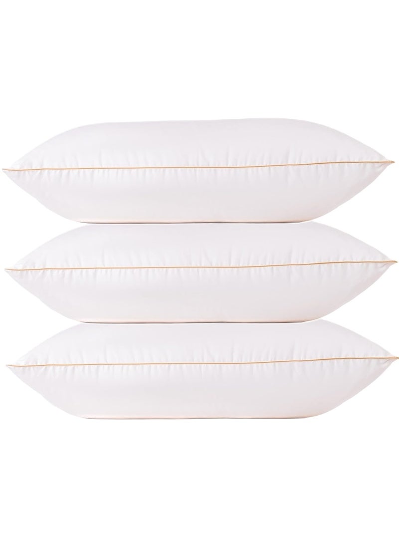 3 Piece Pack Golden Single Piping Pillow Cotton White 50x70cm Made in Uae