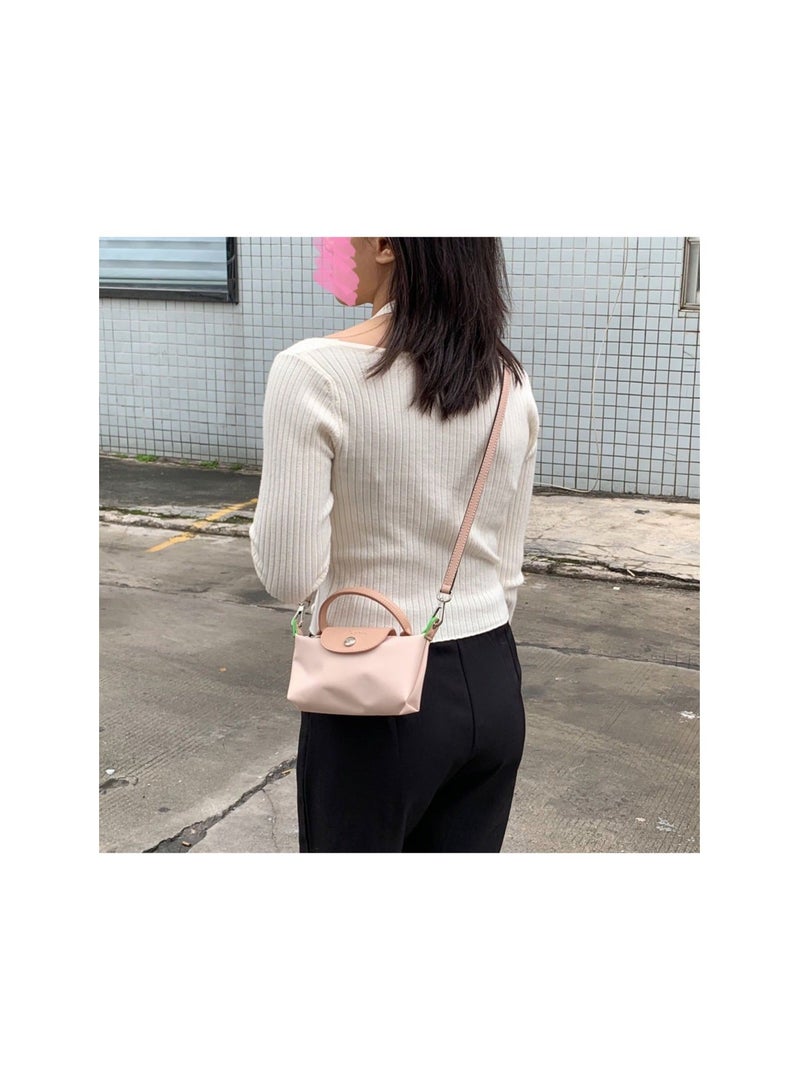 LONGCHAMP Le Pliage Dumpling Bag
