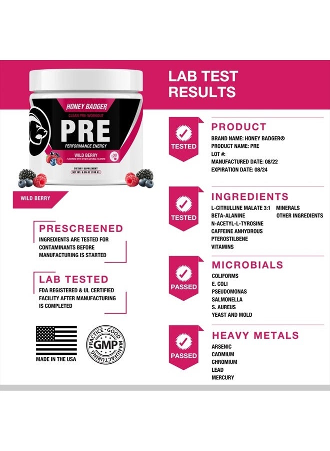 Pre Workout Powder, Keto Vegan Preworkout for Men & Women with Vitamin C for Immune Support, Beta Alanine & Caffeine, Sugar Free Natural Energy Supplement, Wild Berry, 30 Servings
