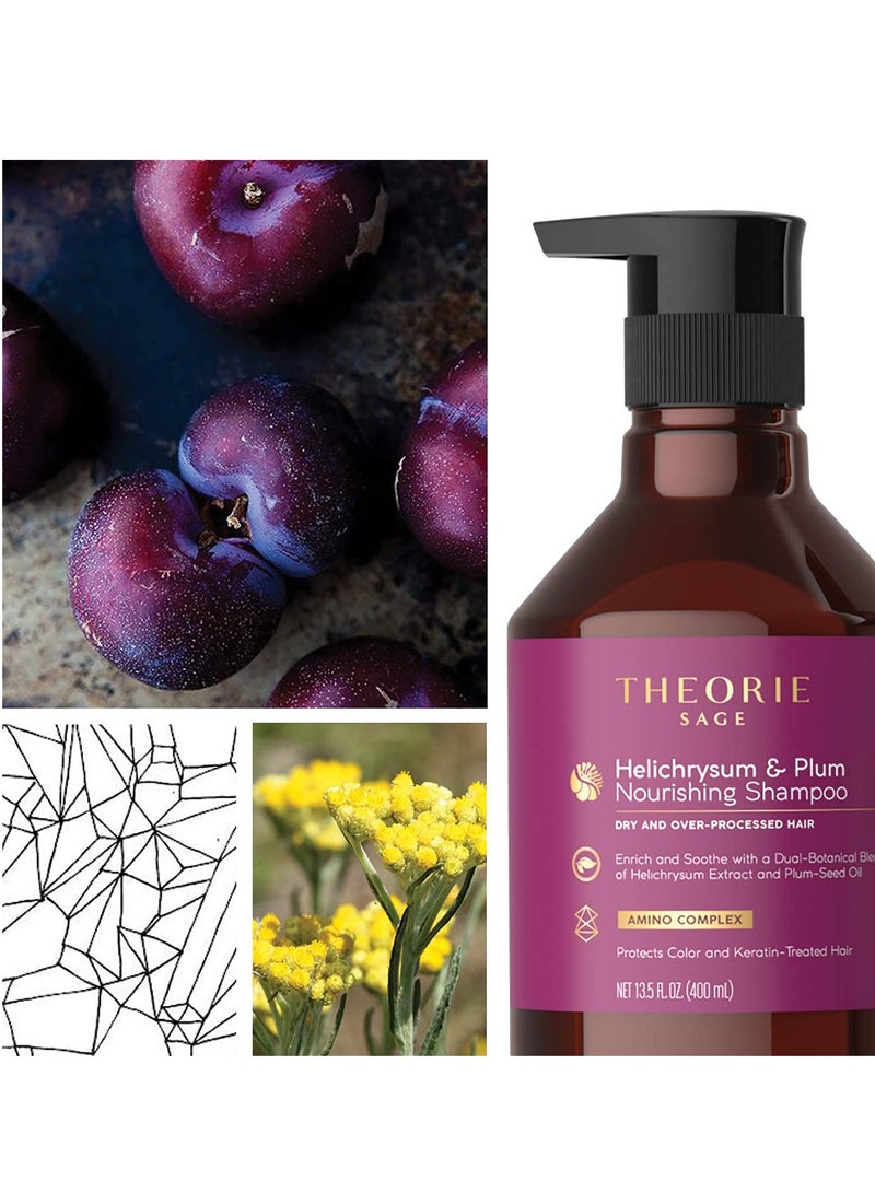 Theorie Helichrysum and Plum Nourishing Conditioner - Suited for Dry & Over Processed Hair - Protects Color & Keratin Treated Hair - 800ML