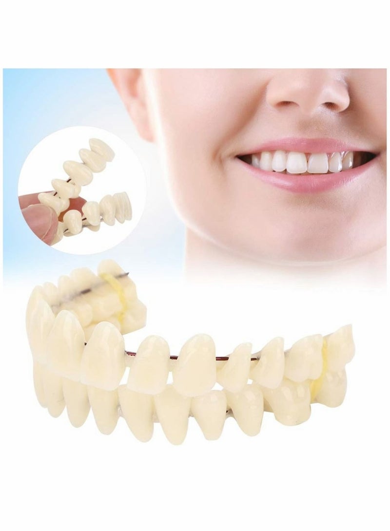 Resin Denture False Teeth Teaching Dental Model Dental Material Dental Model Resin Denture For Patients With Oral Cavity Loss Dental Supply Accessory Denture Model 1 Set Upper Lower Teeth