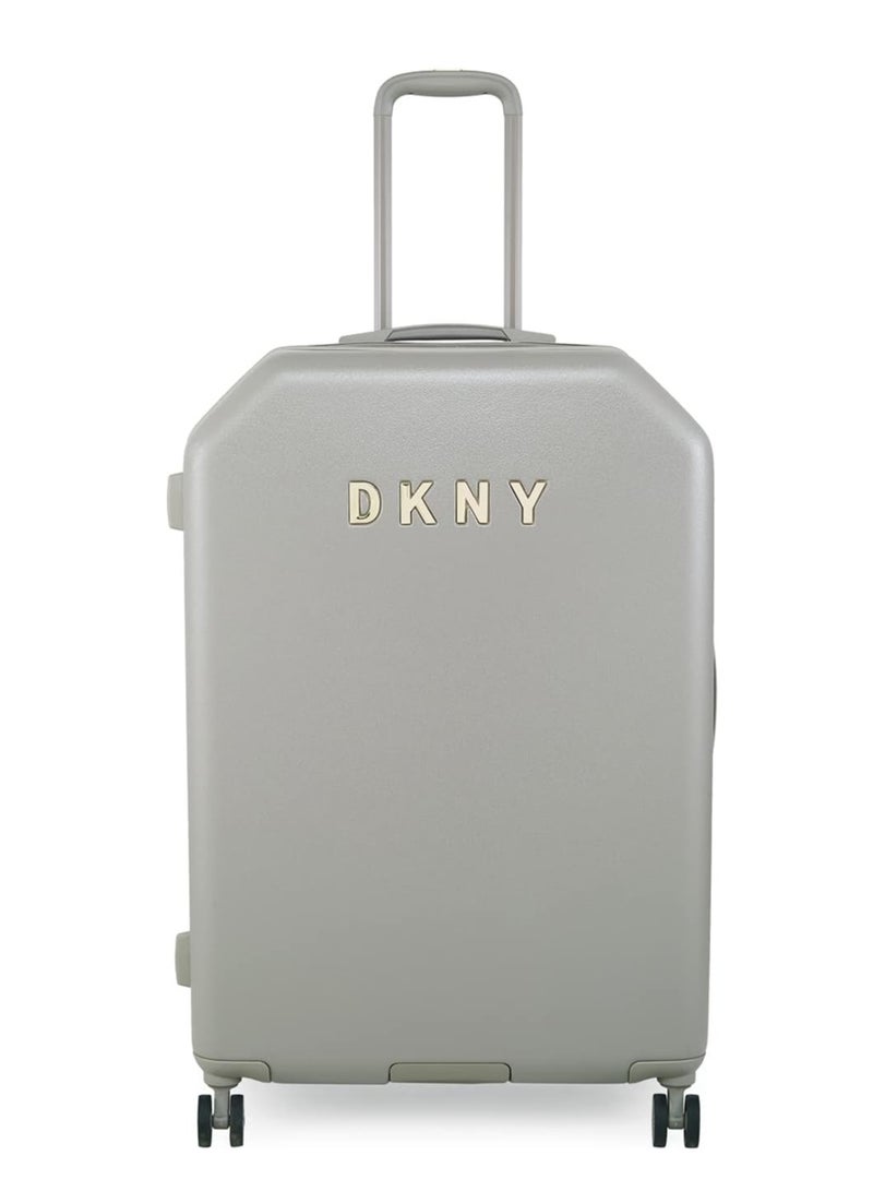 Allure Hardside Luggage on Wheels for Unisex | Ultra Lightweight ABS on with Spinner Wheels 4 Color Clay