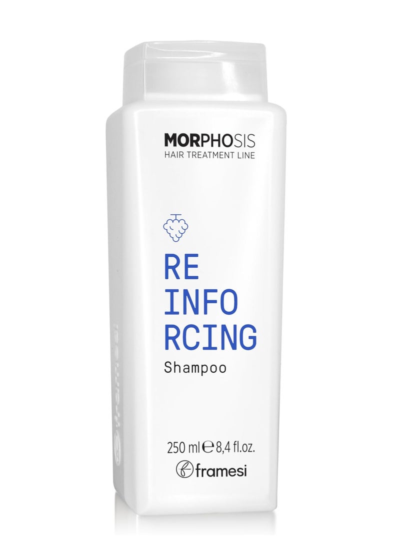 MORPHOSIS - REINFORCING SHAMPOO 250 ML