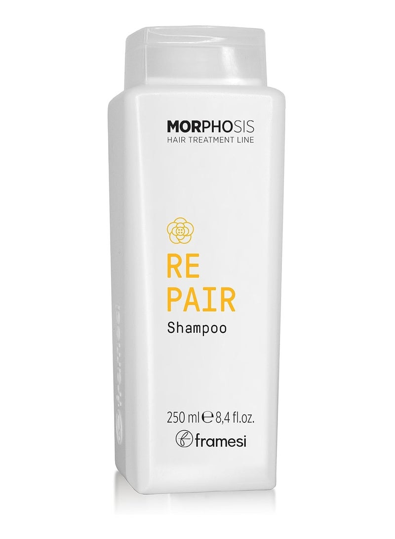 MORPHOSIS - REPAIR SHAMPOO 250 ML