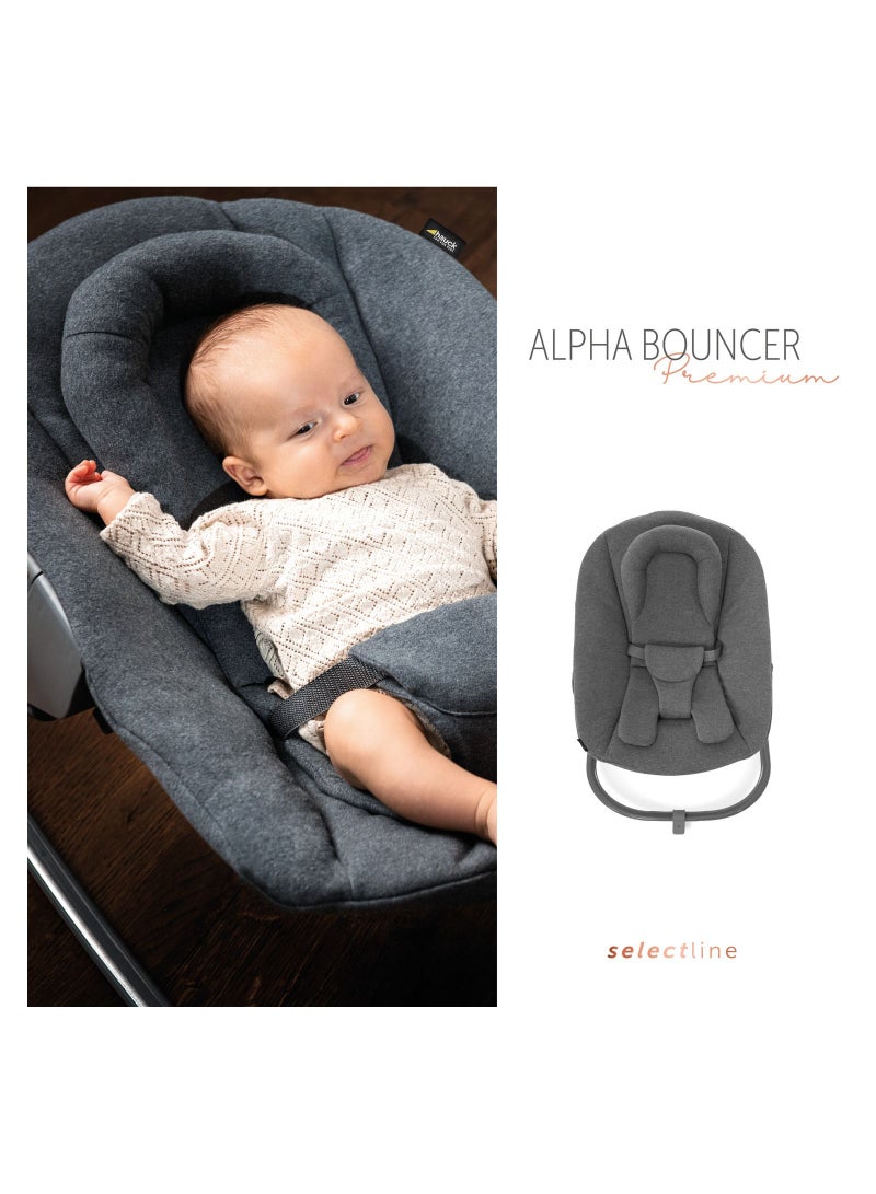 Newborn Bouncer Premium Attachment For High Chair Alpha And Beta From Birth - 2 In 1 Baby Attachment (Lounger And Rocker) For Newborns With Adjustable Backrest And Cotton - Dark Grey