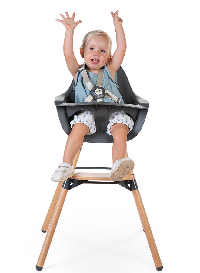 Evolu One 80° High Chair, 2 In 1 Baby High Chair With 180° Swivel, Portable High Chair, Adjustable Height Baby High Chair, Sleek Modern High Chair With Beechwood Legs, Anthracite