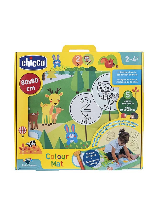 Colour Mat 2-4Y