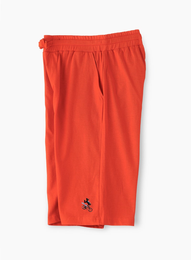 Boys Knit Cotton Shorts: Summer Comfort & Active Style