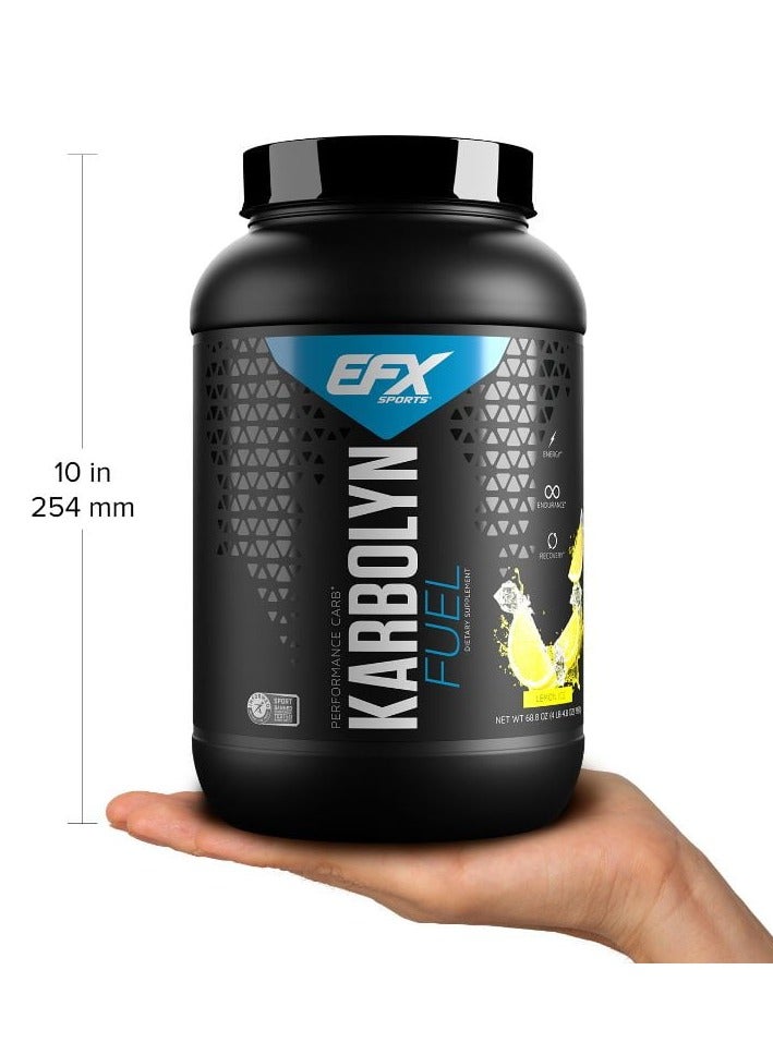 EFX Sports karbolyn fuel performance Carbs 1950g Lemon Ice Flavor 36 Serving