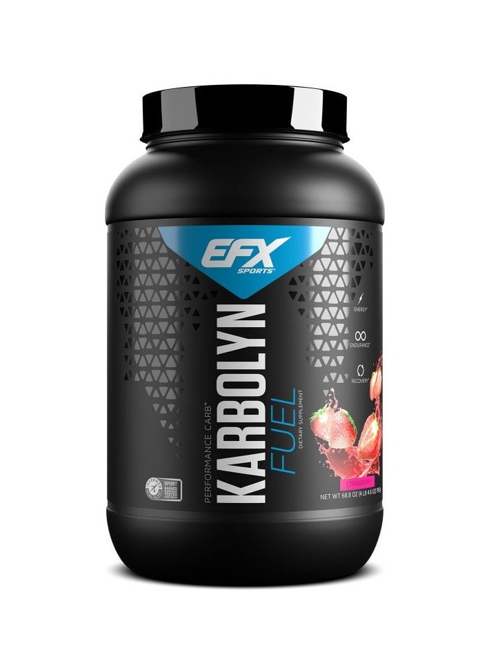 EFX Sports karbolyn fuel performance Carbs 1950g Strawberry Flavor 36 Serving