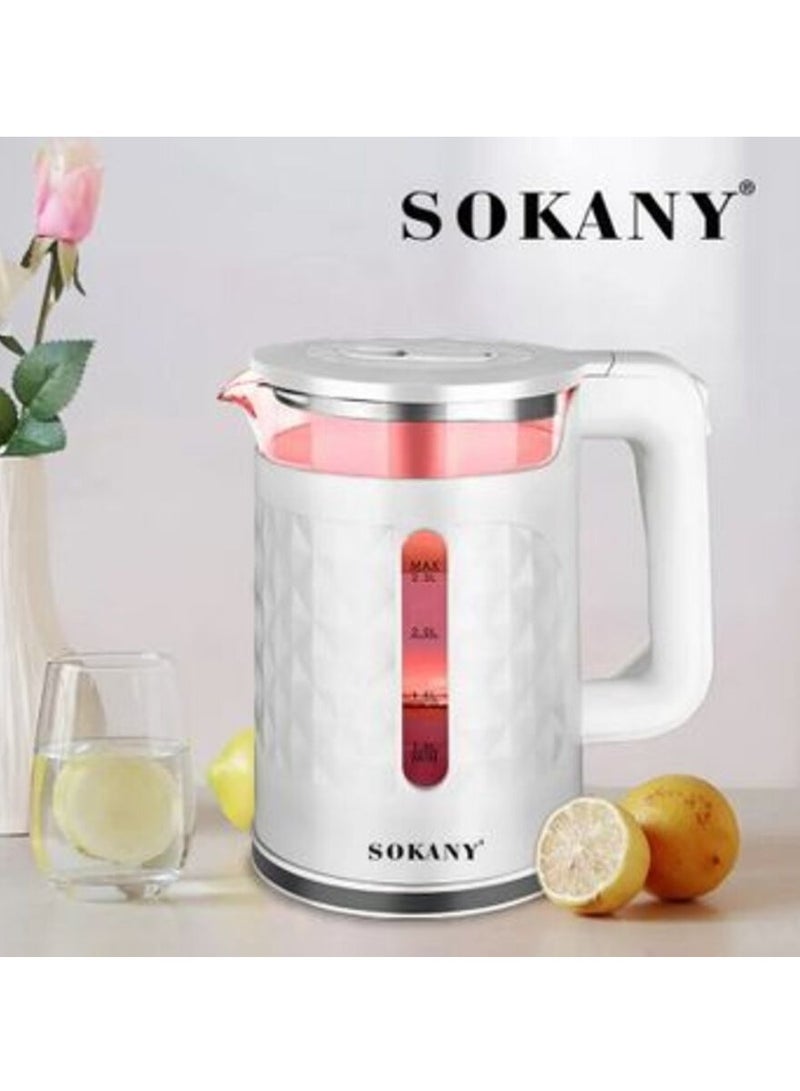 Electric Kettle with LED Indicator Light,Automatic Heat Preservation