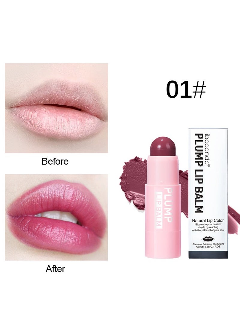 Long Lasting Color Velvet Matte Lip Gloss Lipstick 4.8g