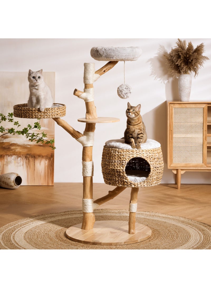 PETSBELLE High-End Large Cat Tree Tower, Premium Rubber Wood, Scratching Posts, Cat Condo, Cat Bed, Removable Soft Cushion, Super Stable (70*70*153cm)
