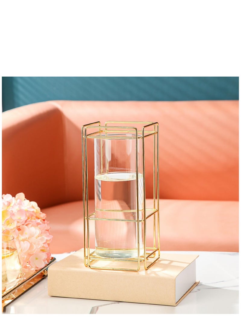 Glass Flower Vase Set of 2 for Living Room Bedroom 9.25'' Clear Hydroponic Plant Vases with Gold Metal Frame Stand 2 Pack Modern Classic Geometric Creative Home Office Decoration