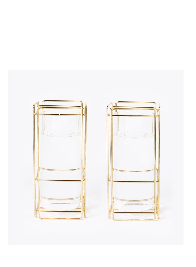 Glass Flower Vase Set of 2 for Living Room Bedroom 9.25'' Clear Hydroponic Plant Vases with Gold Metal Frame Stand 2 Pack Modern Classic Geometric Creative Home Office Decoration