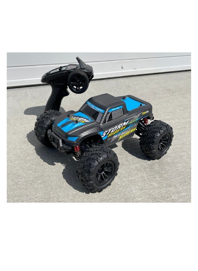 SAM Toys - 1:16 High speed RC car (chargable) Hobby Line Assorted