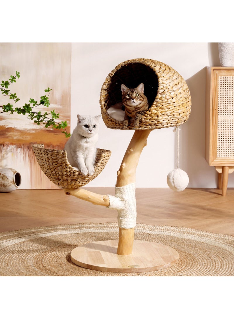PETSBELLE High-End Medium Cat Tree Tower, Premium Rubber Wood, Scratching Posts, Cat Condo, Cat Bed, Removable Soft Cushion, Super Stable (60*60*105cm)