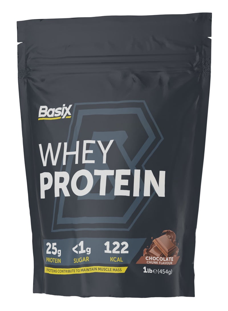 Basix Whey Protein 1Lbs Chocolate Chunk Flavor