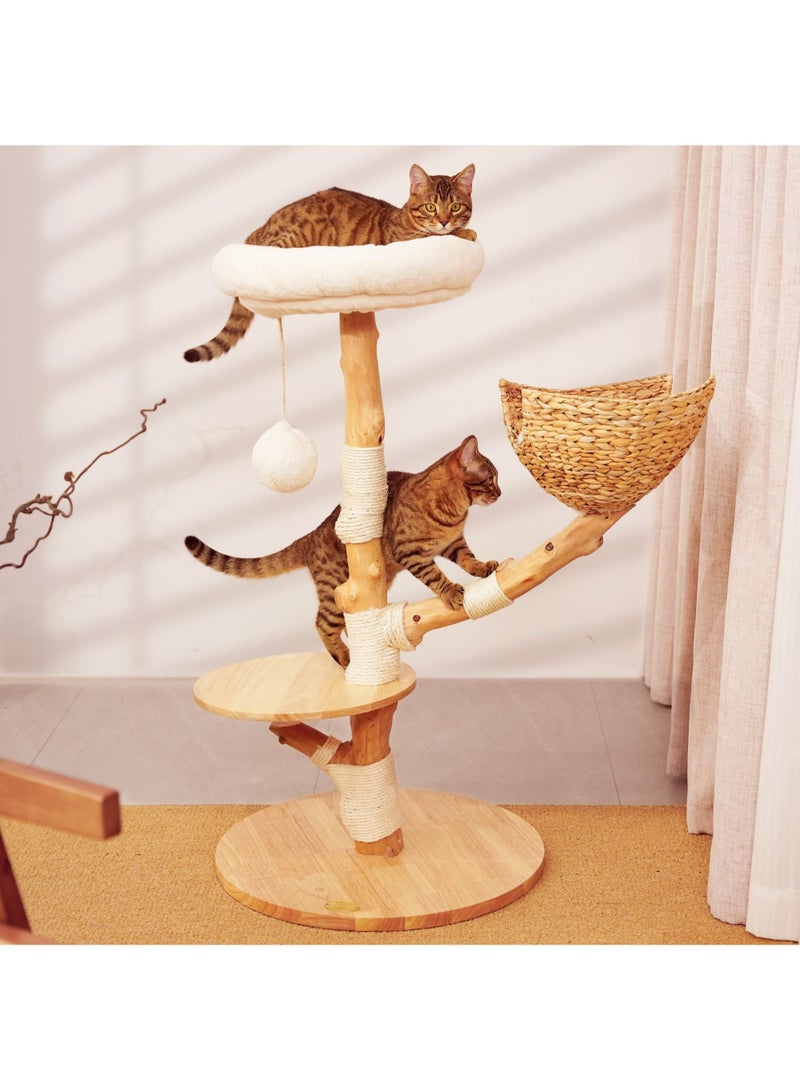 PETSBELLE High-End Medium Cat Tree Tower, Premium Rubber Wood, Scratching Posts, Cat Nest, Cat Bed, Removable Soft Cushion, Super Stable (60*60*112cm)
