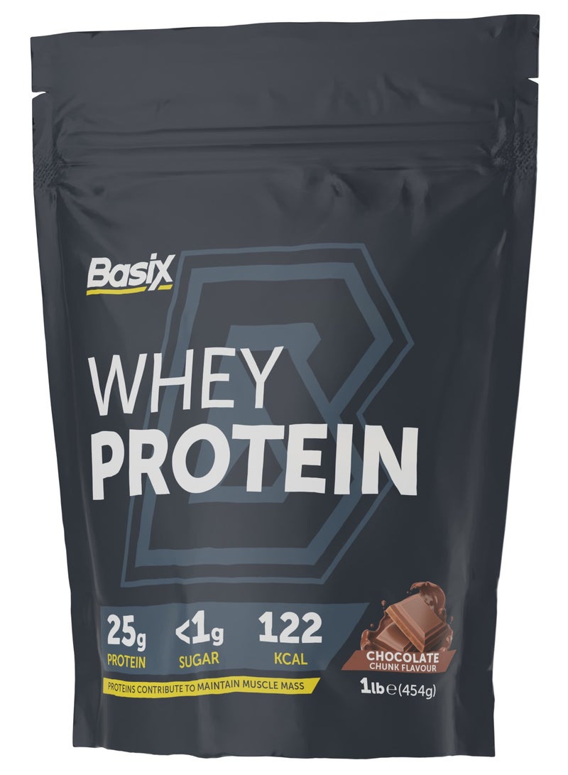 Basix Whey Protein 1Lbs Chocolate Chunk Flavor