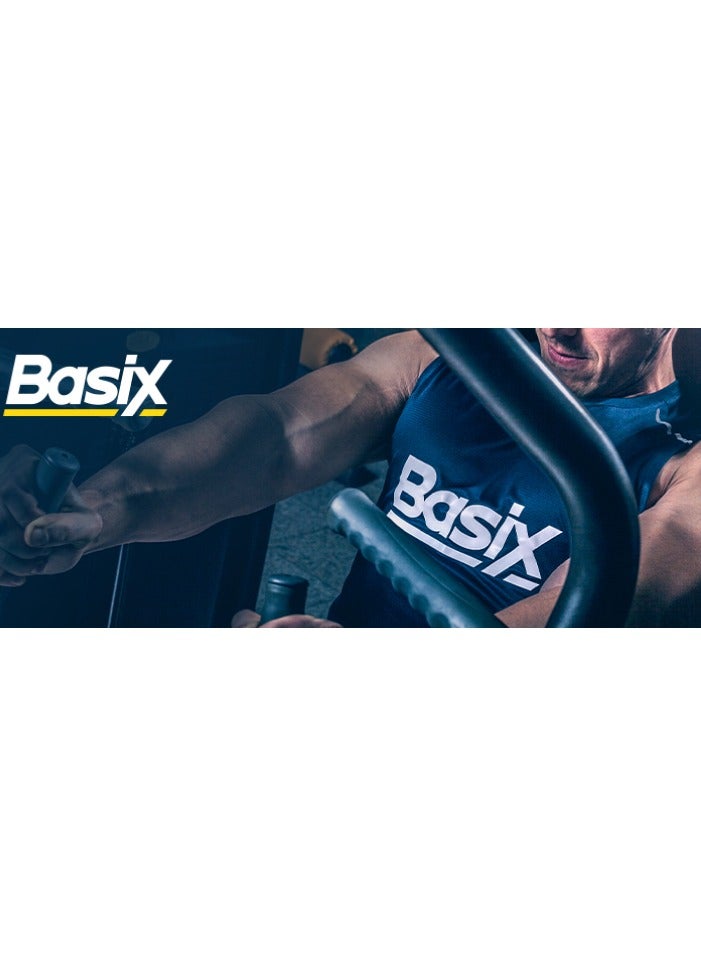 Basix Whey Protein 1Lbs Chocolate Chunk Flavor