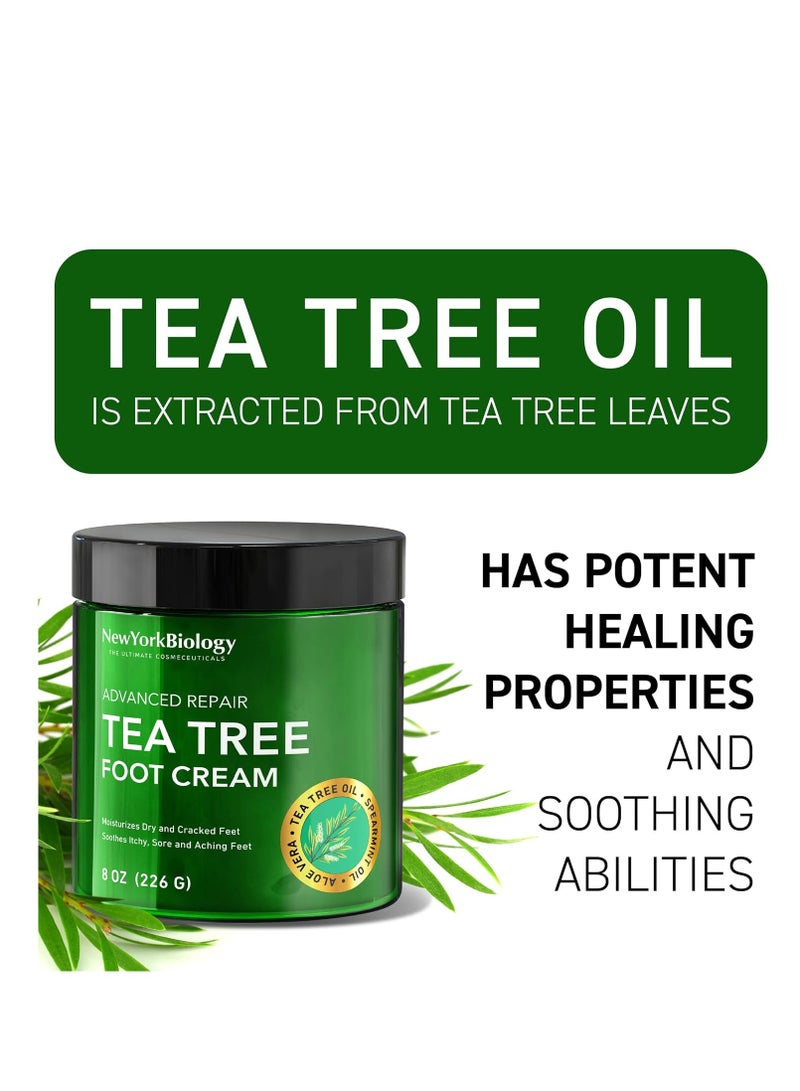 New York Biology Tea Tree Oil Foot Cream for Dry Cracked Feet, Athletes Foot, Nail Fungus, Jock Itch, Ringworm, Cracked Heels and Itchy Skin - Foot Cream - 8 oz