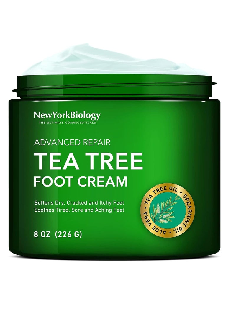 New York Biology Tea Tree Oil Foot Cream for Dry Cracked Feet, Athletes Foot, Nail Fungus, Jock Itch, Ringworm, Cracked Heels and Itchy Skin - Foot Cream - 8 oz