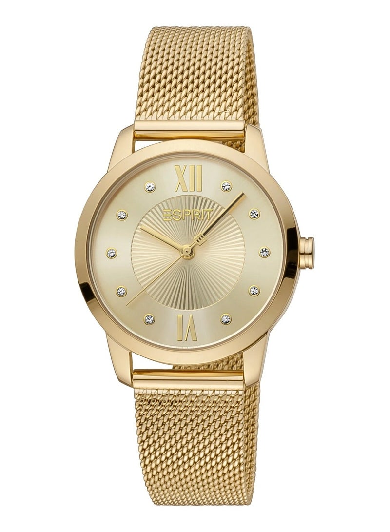 Esprit Stainless Steel Analog Women's Watch With  Stainless Steel Gold Band ES1L276M1115