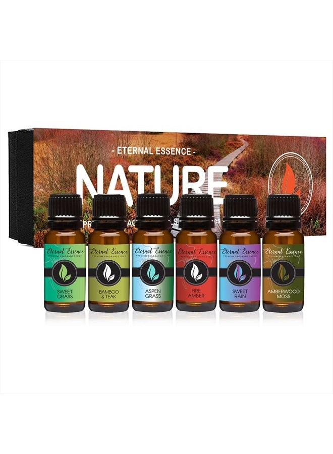 Nature - Gift Set of 6 Premium Fragrance Oils - Sweet Grass, Aspen Grass, Fire Amber, Sweet Rain, Bamboo & Teak and Amberwood Moss - 10ML