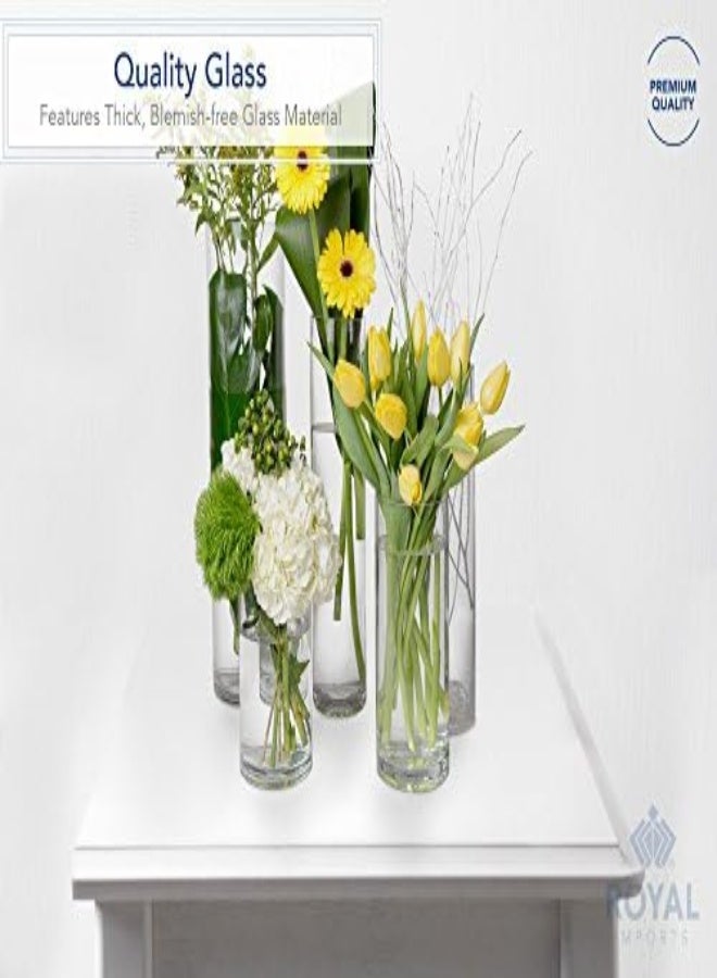 Flower Glass Vase Decorative Centerpiece For Home Or Wedding By Royal Imports - Cylinder Shape (4