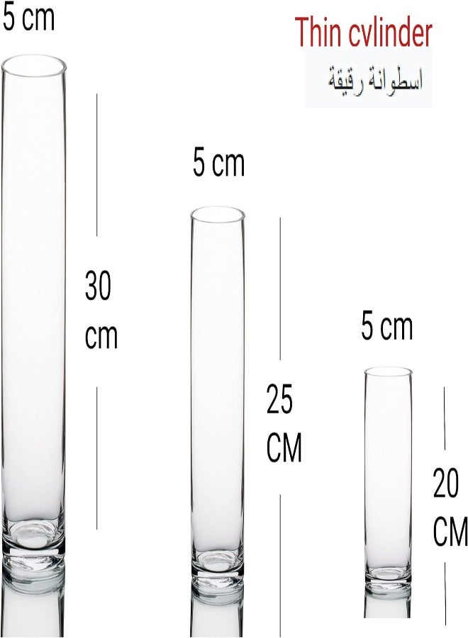 Torix Tall Cylinder Vase Glass, Large (30Cm H X5Cm W), Medium (25Cm H X5Cm W) And Small (20Cm H X5Cm W) -Set Of 3