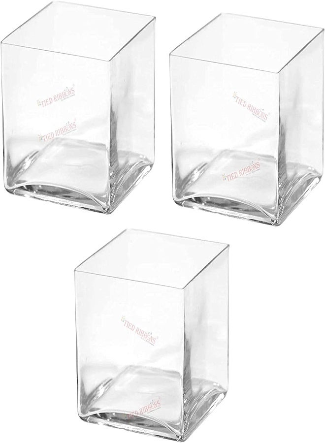 Tied Ribbons Set Of 3 Square Glass Vases For Plants Flowers Home Decor, Wedding Decoration, Without Flower (7.6 X 7.6 Cm, Clear)