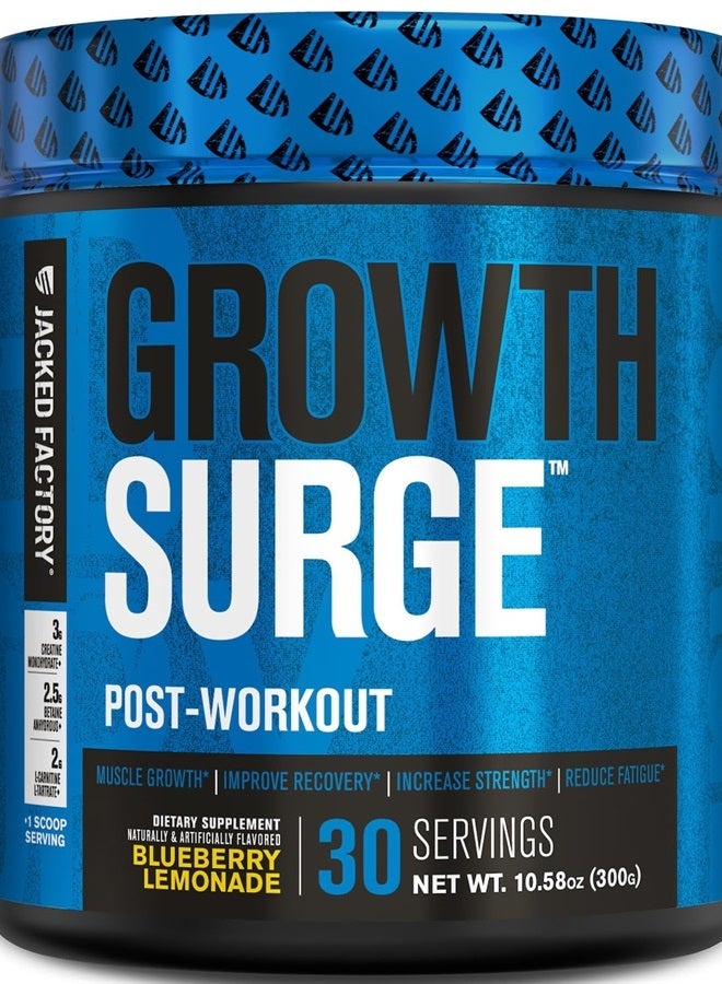 Growth Surge Creatine Post Workout - Daily Muscle Builder & Recovery Supplement with Creatine Monohydrate, Betaine, L-Carnitine, L-Tartrate - 30 Servings, Blueberry Lemonade