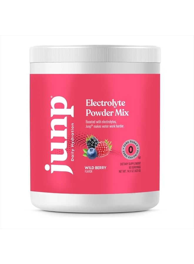 Hydration Electrolyte Powder, Electrolytes Drink Mix, Hydration Mix, Sugar Free, Gluten Free, 0 Calories, 0 Carbs, Keto Friendly, NON - GMO Kosher, 90 Servings. (Wild Berry)