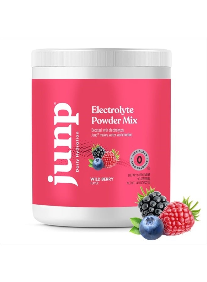 Hydration Electrolyte Powder, Electrolytes Drink Mix, Hydration Mix, Sugar Free, Gluten Free, 0 Calories, 0 Carbs, Keto Friendly, NON - GMO Kosher, 90 Servings. (Wild Berry)