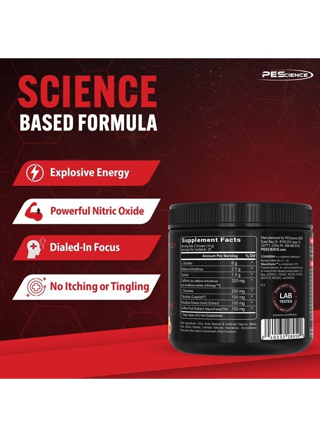 Prolific Pre Workout Powder, Sour Peach Candy, 40 Scoop, Energy Supplement with Nitric Oxide, KK Fit Signature Flavor