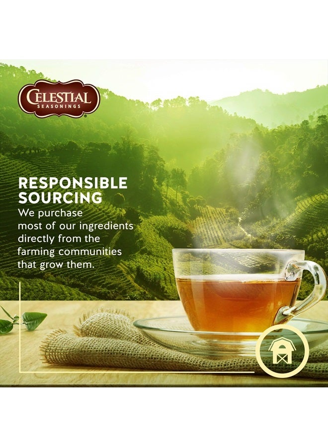 100% Natural Lemon Zinger Herbal Tea 20 ct