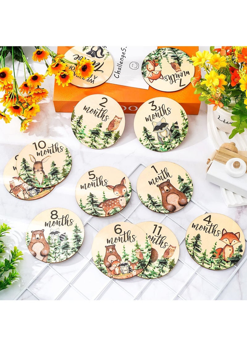 Baby Newborn Welcome Discs Sign Monthly Milestone, 12 Pieces