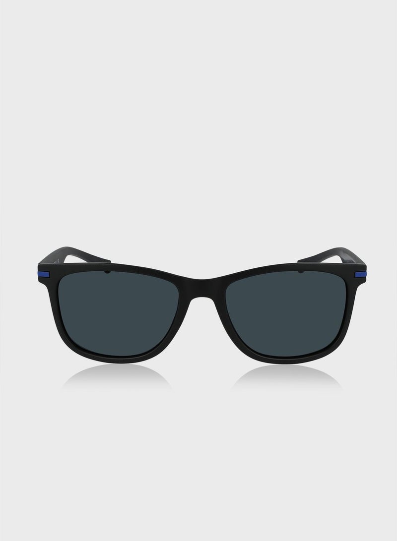 N3661Sp Wayfarers Sunglasses