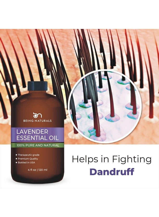 Lavender Essential Oil - Huge 4 FL OZ - 100% Pure & Natural – Premium Natural Oil with Glass Dropper Essential Oil