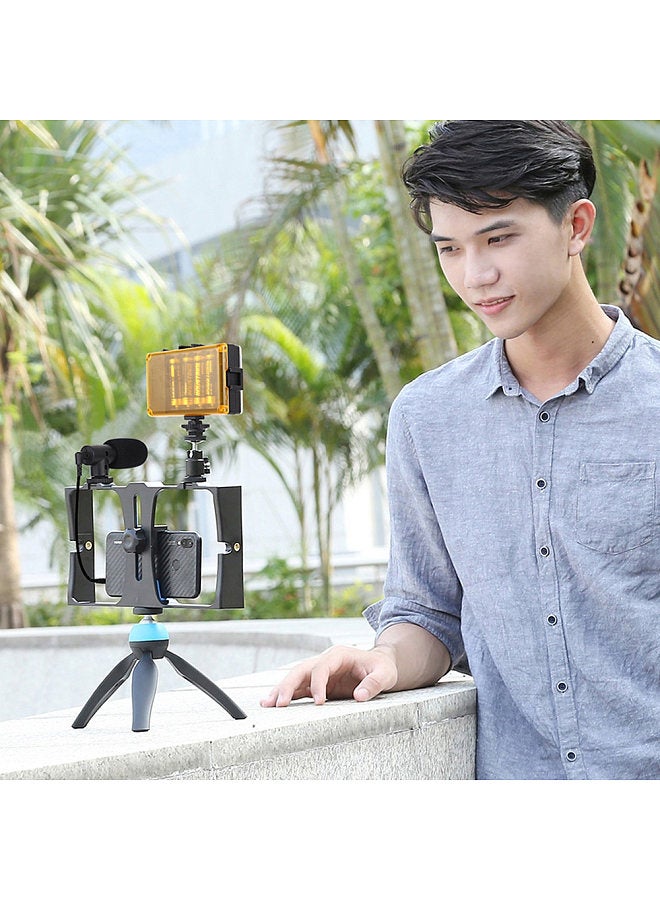 PKT3023 Smartphone Handheld Filmmaking Video Rig + 96 LEDs LED Studio Light + Video Microphone + Mini Tripod Mount Kits with Cold Shoe Tripod Head for Outdoor Shooting Live Broadcast