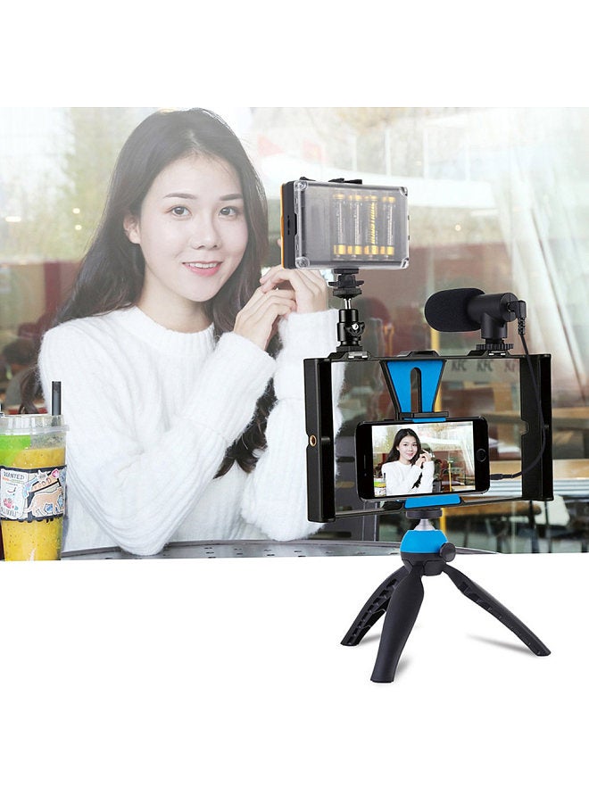 PKT3023 Smartphone Handheld Filmmaking Video Rig + 96 LEDs LED Studio Light + Video Microphone + Mini Tripod Mount Kits with Cold Shoe Tripod Head for Outdoor Shooting Live Broadcast
