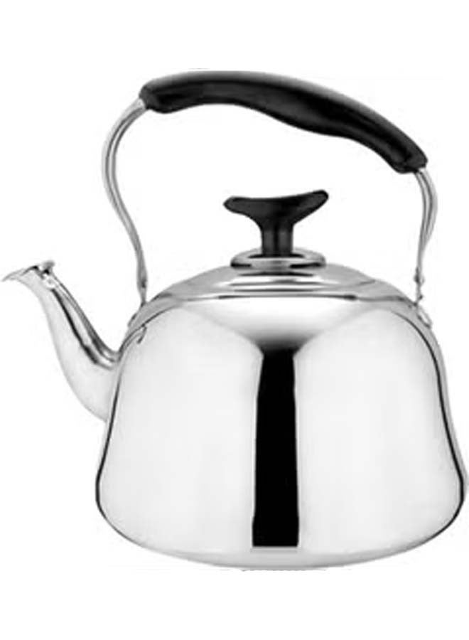 Stainless Steel Tea Kettle With Strainler 3L