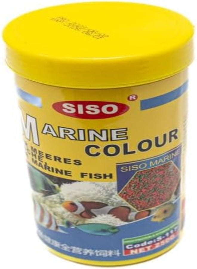 Color For Marine Fish 9X12X11 Multicolour