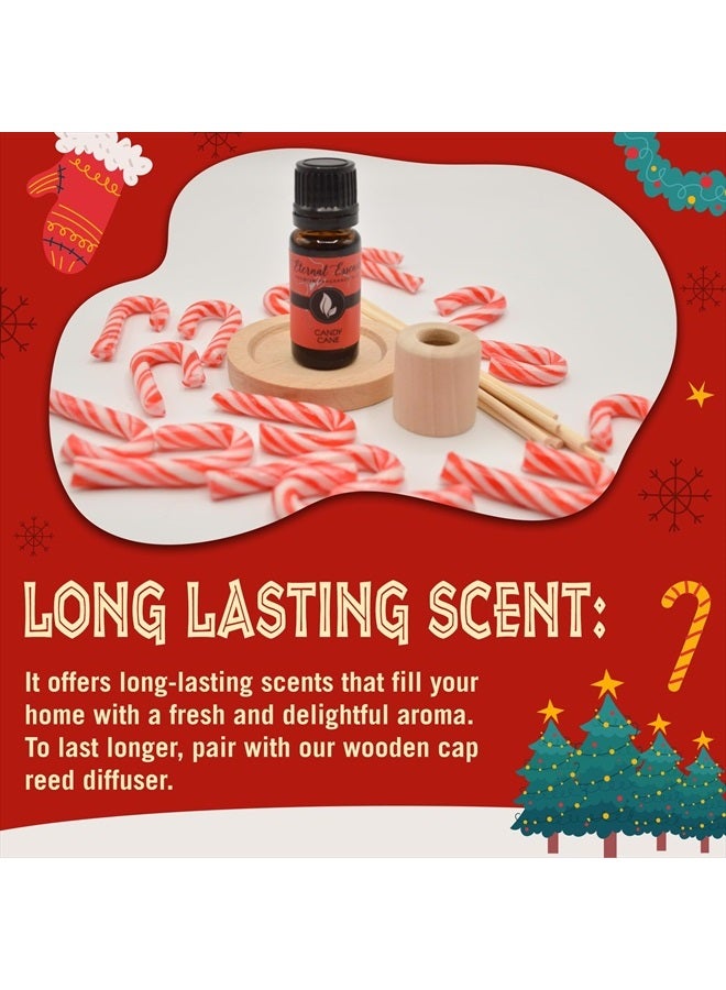 Holiday Fragrance Oil Gift Set - 6 Long Lasting Scents in 10mL Glass Bottles - Oils for Diffusers, Soap & Candle Making, Aromatherapy - Includes Candy Cane, Pumpkin Patch, & More