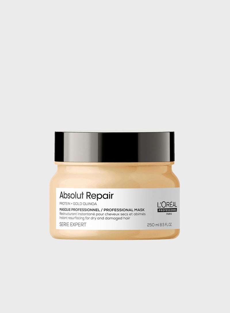 Serie Expert Absolute Repair Mask For Thick Hair