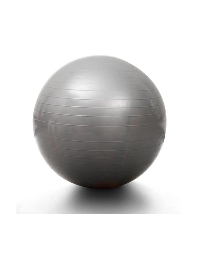 Yoga Ball Exercise Fitness Heavy Duty Anti-Burst Stability Ball for Fitness Gym Yoga Pilates Birthing Pregnancy Physical Therapy with Quick Pump